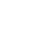 LOGO BRA